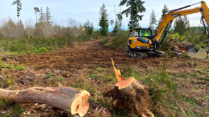 Land Clearing in Western Washington