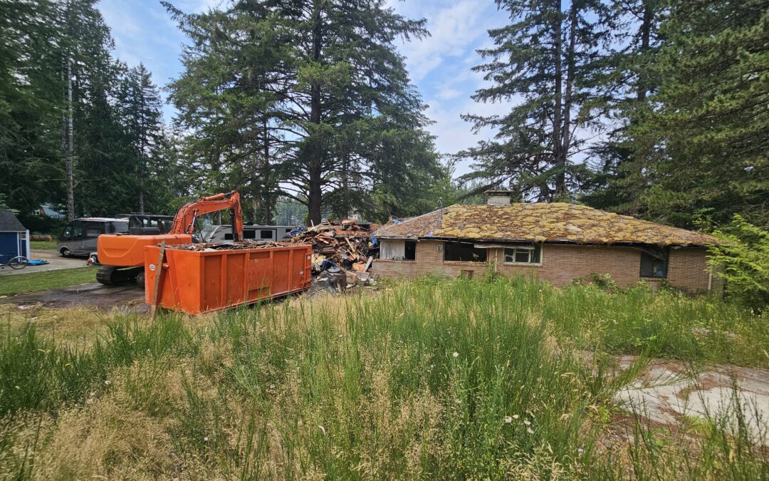 Residential Demolition